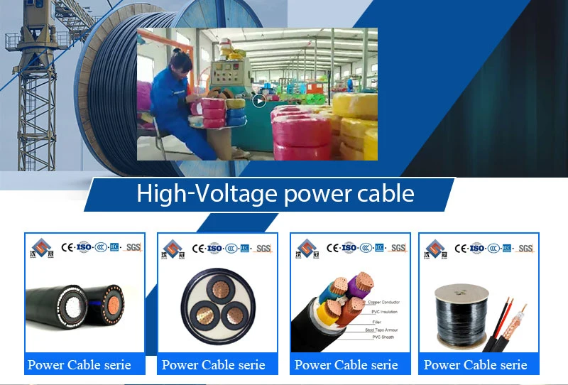 Shenguan CE Approved 24 Hours Online AAAC ACSR Aluminium Conductor Internet Cable ACSR Cable 120mm2 Electric Cable